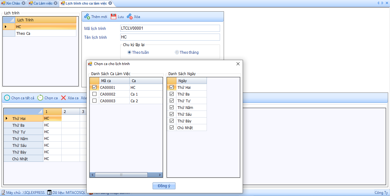 Phần mềm chấm công Ronald Jack Pro 16 17